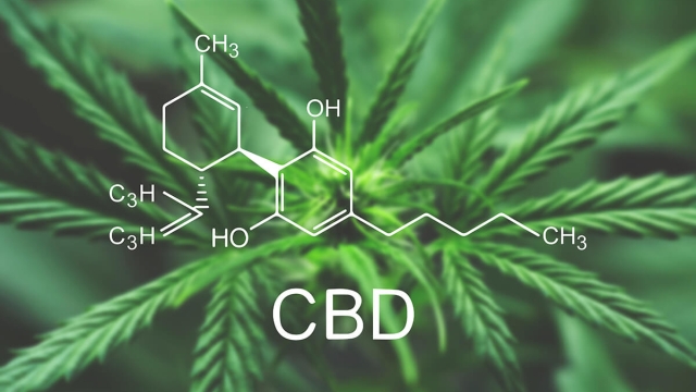 The Remarkable Benefits of CBD: Unveiling Nature’s Healing Power