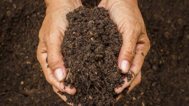 From the Ground Up: Exploring the Benefits of Organic Soils