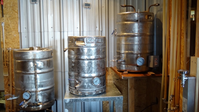 Brewing Mastery: Unleashing the Potential of Your Brewing Equipment