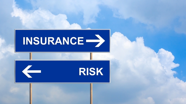 Insuring Your Way to Success: Small Business Insurance Guide