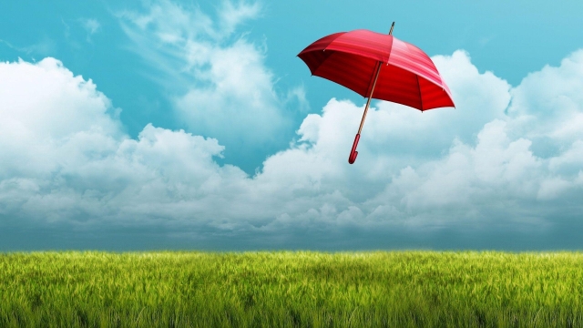 Insuring Your Tomorrow: Navigating the World of Insurance Services