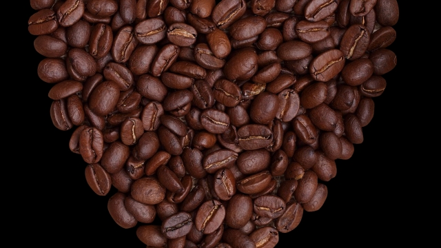 Unearthing the Richness: Exploring the World of Organic Coffee Beans