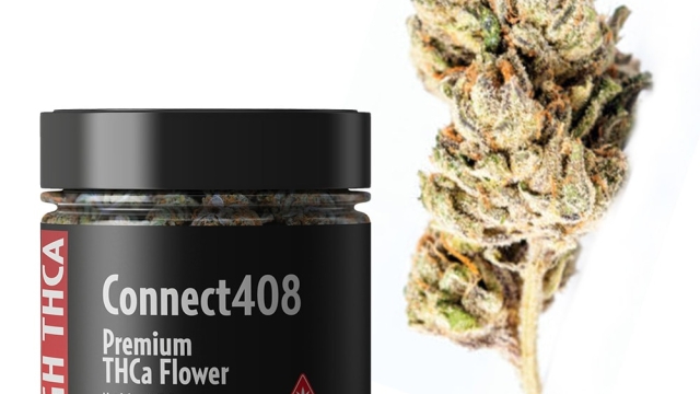 The Power of THCA Flower: Unlocking Nature’s Potential