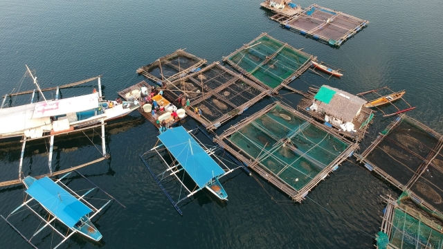 Revolutionizing the Deep: The Future of Aquaculture Technology