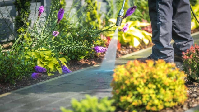 Revive Your Curb Appeal: The Ultimate Guide to Exterior Cleaning